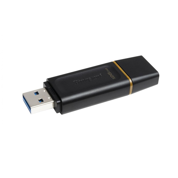 USB raktas USB3.2/128GB DTX/128GB KINGSTON