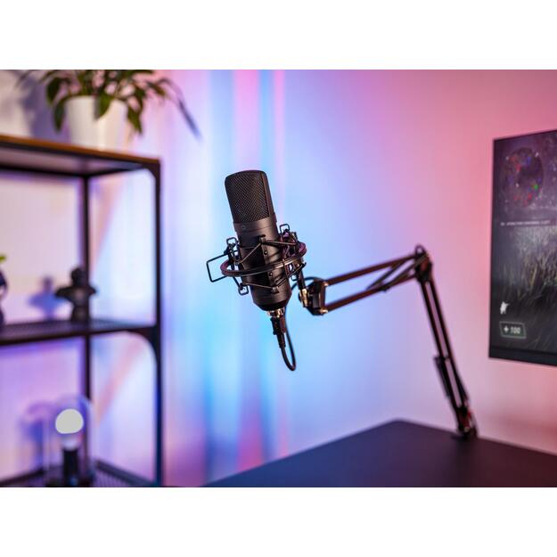 MICROPHONE ACC STREAMING ARM/22563 TRUST 7