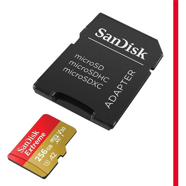 MEMORY MICRO SDXC 256GB UHS-I/W/A SDSQXAV-256G-GN6MA SANDISK 1