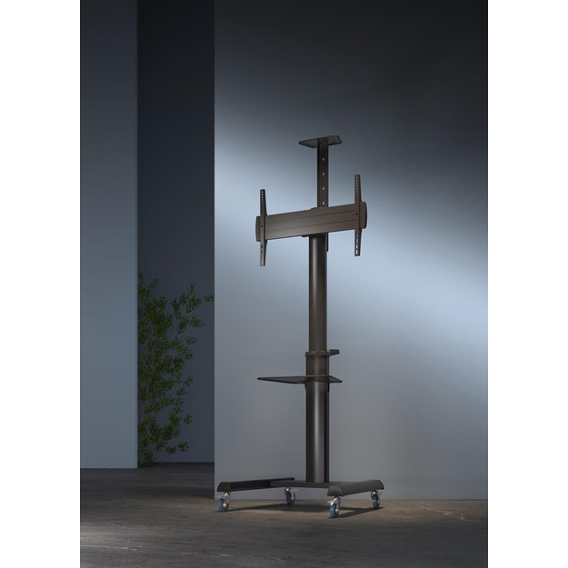 TV SET ACC FLOOR STAND 37-70 /TVS-70T-02 GEMBIRD