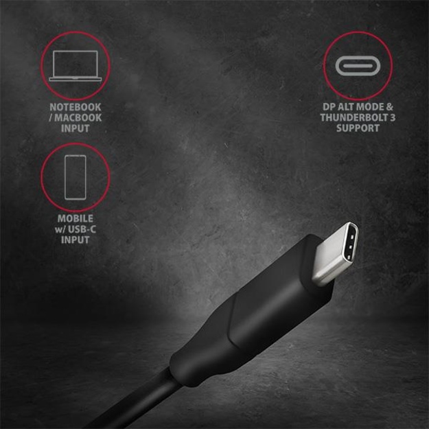 CABLE USB-C TO DP 1.8M/RVC-DPC AXAGON