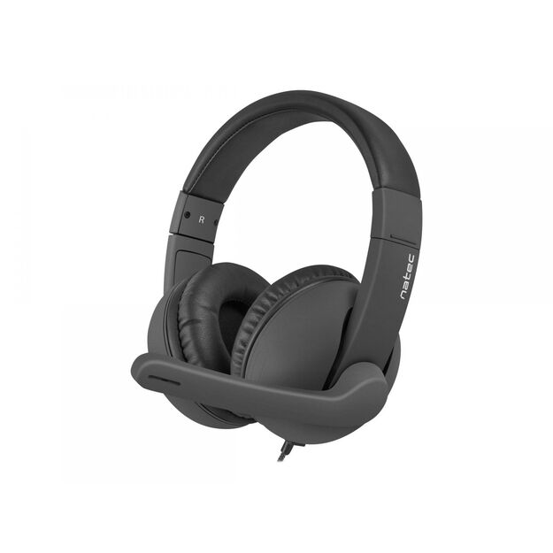 Ausinės NATEC NSL-1452 Natec HEADPHONES RHEA with MICROPHONE BLACK