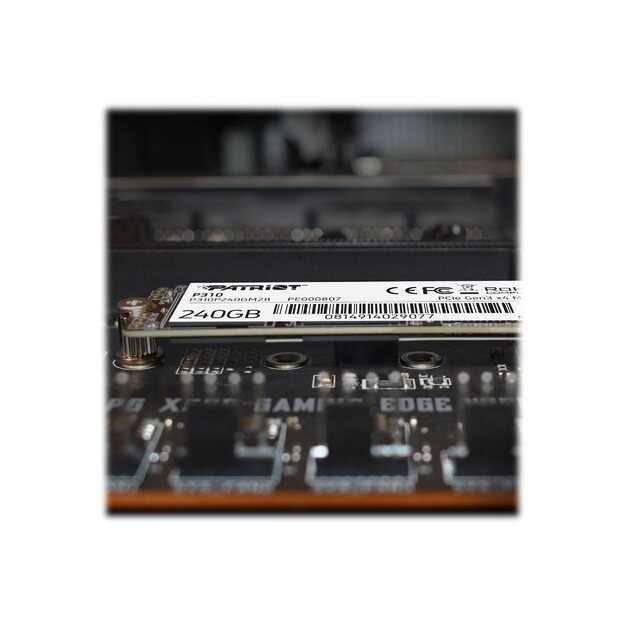 Kietasis diskas (SSD) vidinis PATRIOT P310 240GB M2 2280 PCIe SSD NVME 25