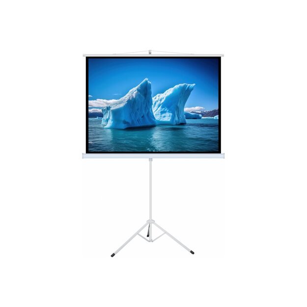 ART HAND-HELD SCREEN ON A TRIPOD 92inch 203x114cm TA-92 16:9