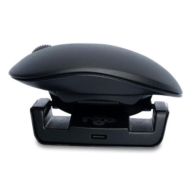 MOUSE USB OPTICAL WRL TWISTER/BLACK RGOTWBMWLBL R-GO TOOLS 6