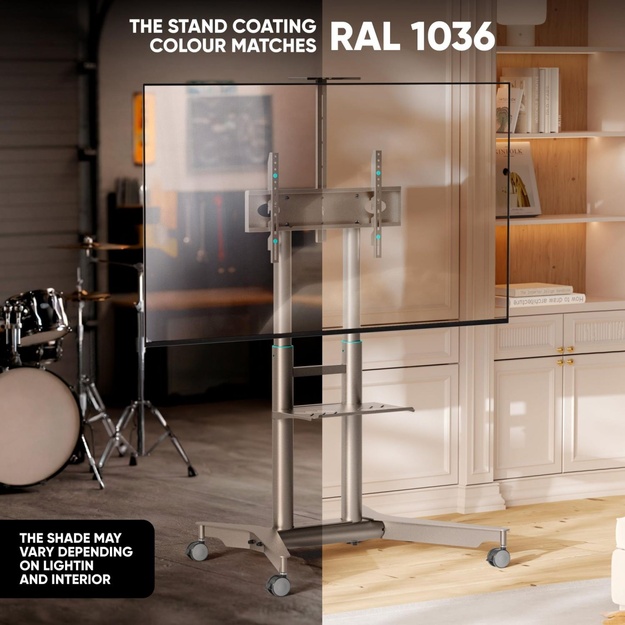 TV SET ACC MOBILE STAND/32-75 /CHAMPAGNE TS1571-C ONKRON
