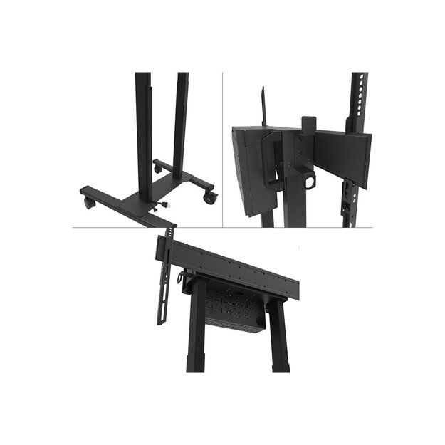 TV SET ACC FLOOR STAND 37-100 /FL55-875BL1 NEOMOUNTS