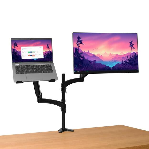 MONITOR ACC ARM DUAL/MARA 25337 TRUST