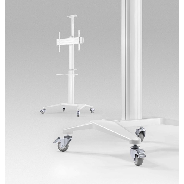 TV SET ACC FLOOR STAND 37-70 /WHITE TVS-70T-02-W GEMBIRD