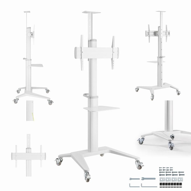 TV SET ACC FLOOR STAND 37-70 /WHITE TVS-70T-02-W GEMBIRD