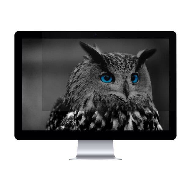 Privatumo filtras NATEC NFP-1478 Natec Privacy Filter RODO OWL 24, 16:9