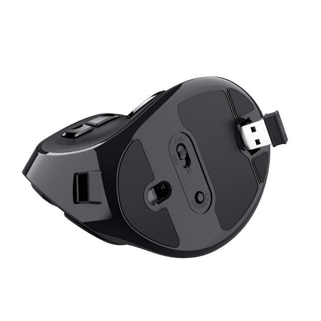 Kompiuterinė pelė belaidė OPTICAL ERGONOMIC/VOXX 23731 TRUST 11