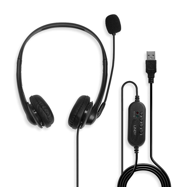 Ausinės HEADSET USB/42870 LINDY