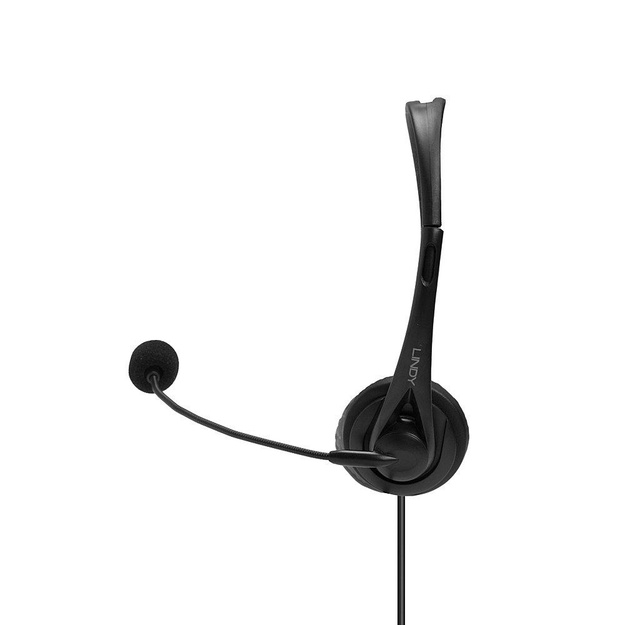 Ausinės HEADSET USB/42870 LINDY