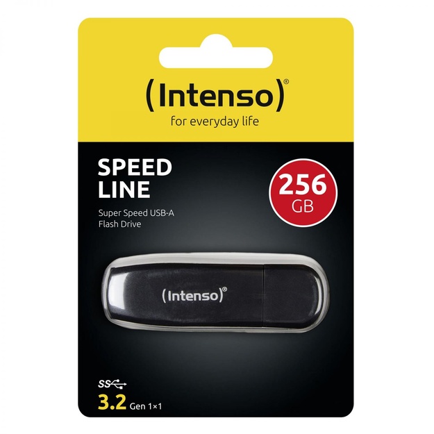 USB raktas MEMORY DRIVE FLASH USB3 256GB/3533492 INTENSO