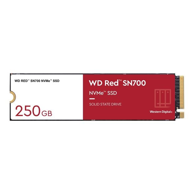 SSD|WESTERN DIGITAL|Red SN700|250GB|M.2|PCIE|NVMe|Write speed 1600 MBytes/sec|Read speed 3100 MBytes/sec|TBW 500 TB|WDS250G1R0C