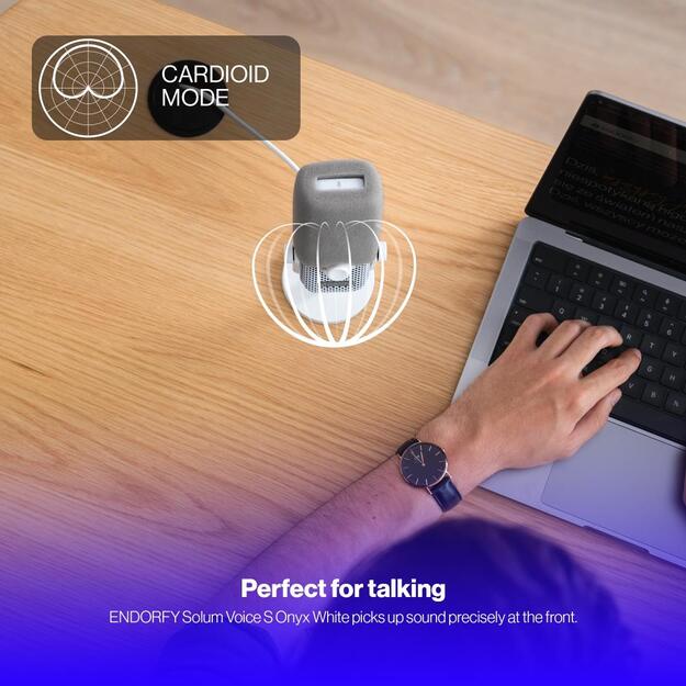 MICROPHONE SOLUM VOICE S OWH/USB-C WHITE EY1B015 ENDORFY 20