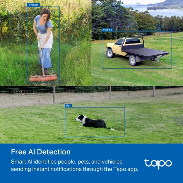 WRL CAMERA 1080P/TAPO C501GW TP-LINK