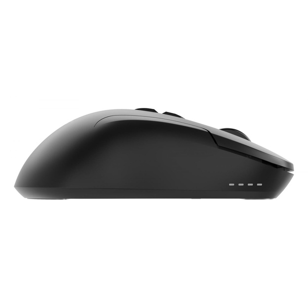 MOUSE USB OPTICAL WRL/MUSW2-7B-01 GEMBIRD