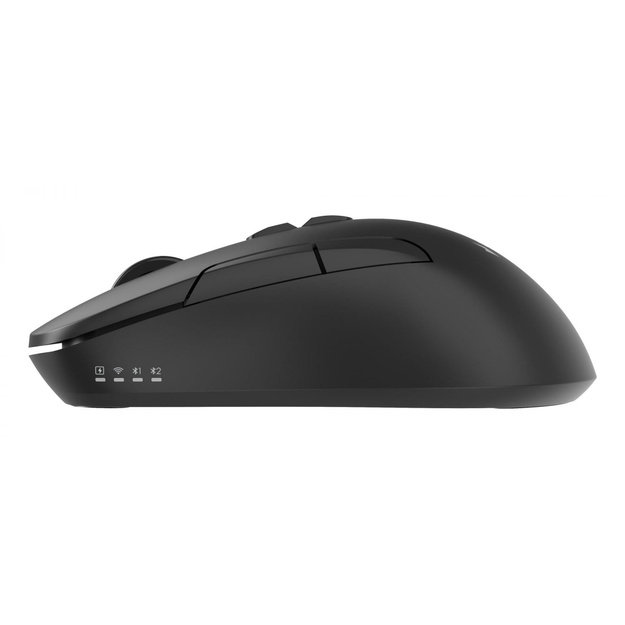 MOUSE USB OPTICAL WRL/MUSW2-7B-01 GEMBIRD