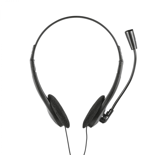 Ausinės HEADSET PRIMO CHAT/21665 TRUST