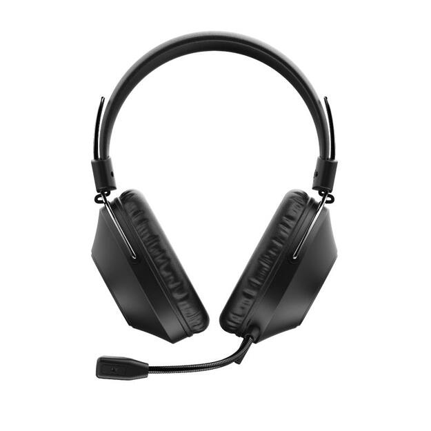 Ausinės HEADSET OZO USB/24132 TRUST