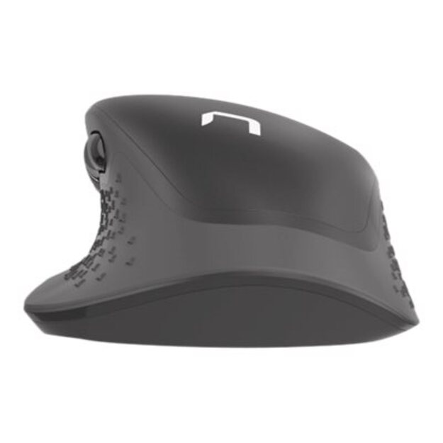 Kompiuterinė pelė belaidė NATEC Falcon optical 3200DPI 2.4GHz + BT 5.0 black