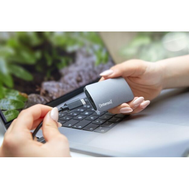 SSD USB3.2 500GB EXT./TX800 3828450 INTENSO 5