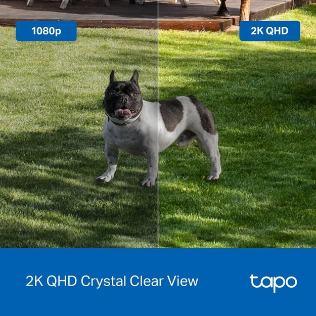 WRL CAMERA SMART H.264/TAPO C425 TP-LINK