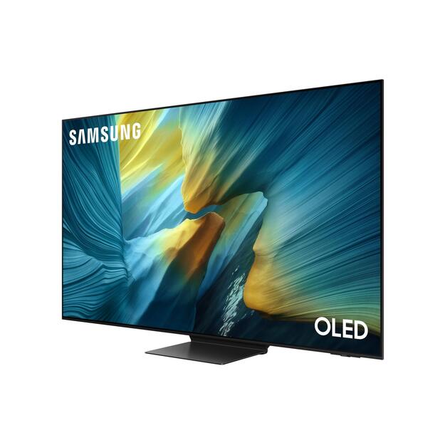TV Set|SAMSUNG|55 |OLED/4K/Smart|3840x2160|Wireless LAN|Bluetooth|Tizen|Black|QE55S95FATXXH 20