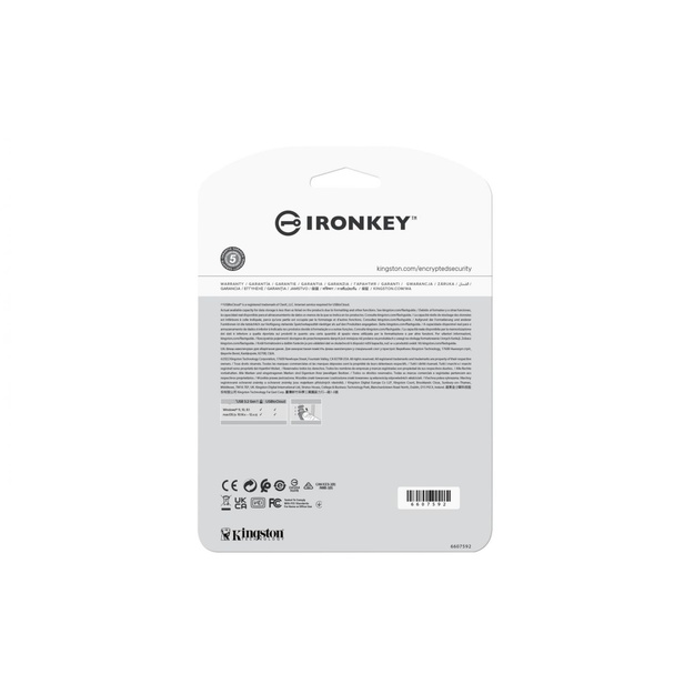 MEMORY DRIVE FLASH USB3.2/256GB IKLP50/256GB KINGSTON