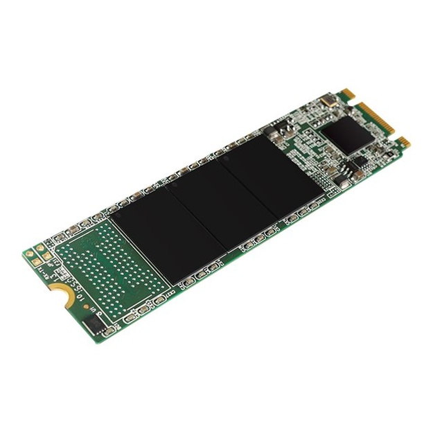 Kietasis diskas (SSD) vidinis SILICON POWER SSD A55 256GB M.2 SATA 560/530 MB/S