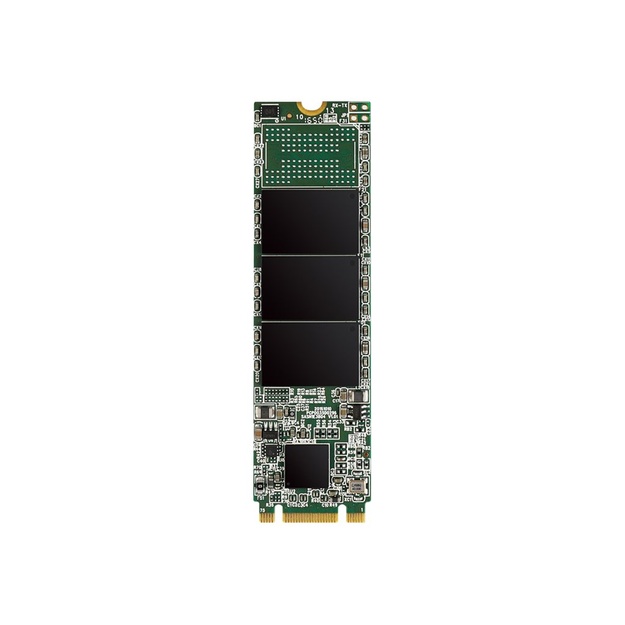 Kietasis diskas (SSD) vidinis SILICON POWER SSD A55 256GB M.2 SATA 560/530 MB/S