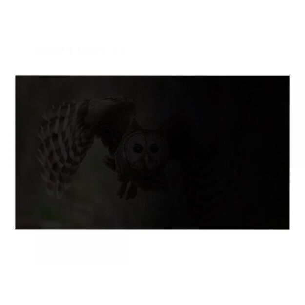 Privatumo filtras NATEC NFP-1474 Natec Privacy Filter RODO OWL 14, 16:9