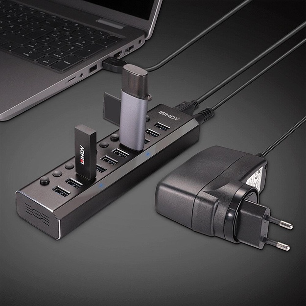 I/O HUB USB3 10PORT/43370 LINDY