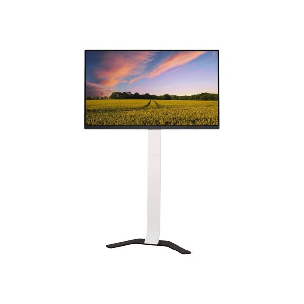 TECHLY Super Slim Floor Stand for LCD / LED / Plasma TV from 32inch to 70inch