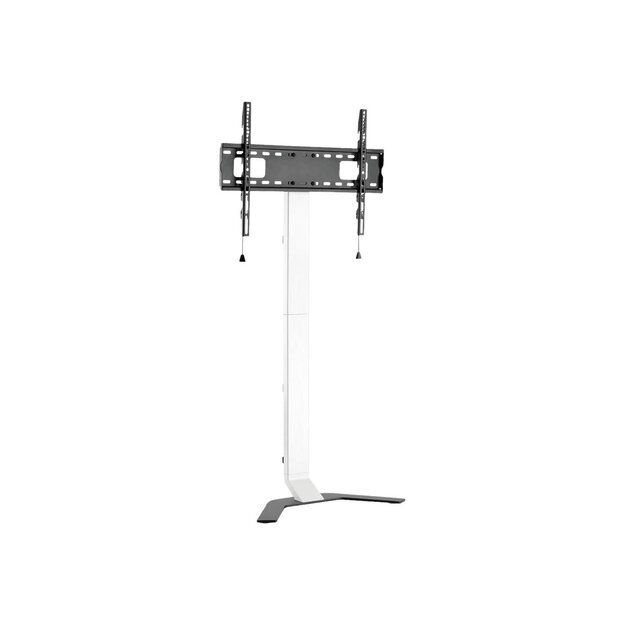 TECHLY Super Slim Floor Stand for LCD / LED / Plasma TV from 32inch to 70inch