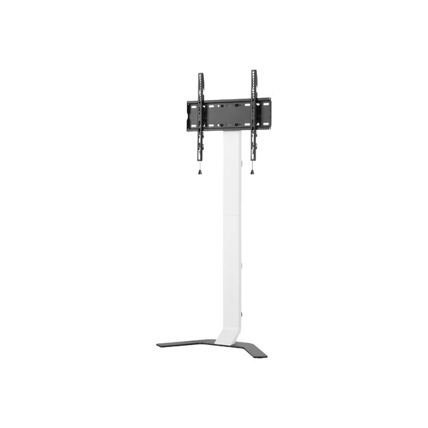 TECHLY Super Slim Floor Stand for LCD / LED / Plasma TV from 32inch to 70inch