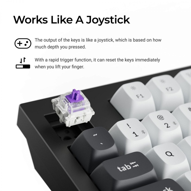 KEYBOARD WRL Q5 HE RGB/SHELL WHITE Q5H-P1 KEYCHRON