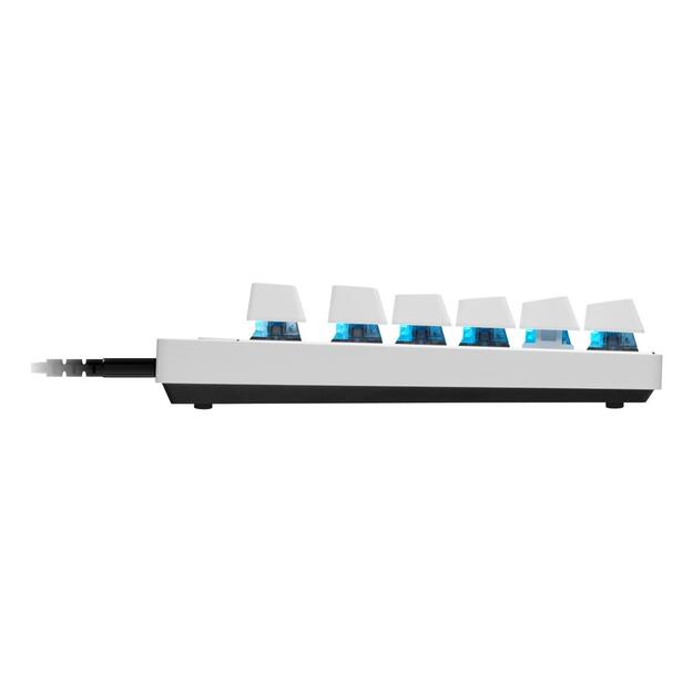 KEYBOARD PRO X TKL RAPID/ENG WHITE 920-013242 LOGITECH