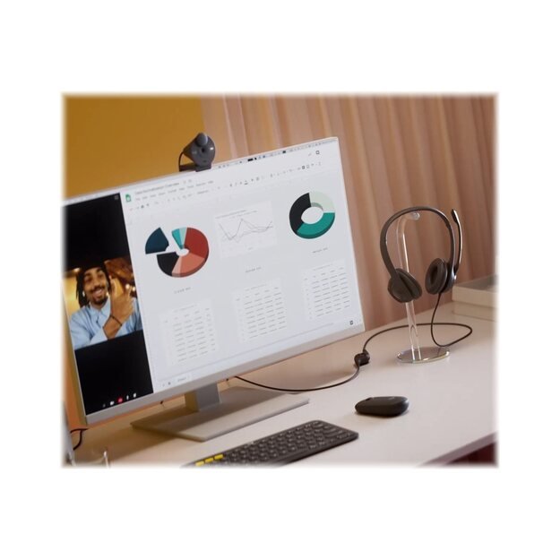 Ausinės LOGITECH H390 Headset USB black 52