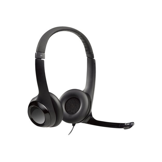 Ausinės LOGITECH H390 Headset USB black 44