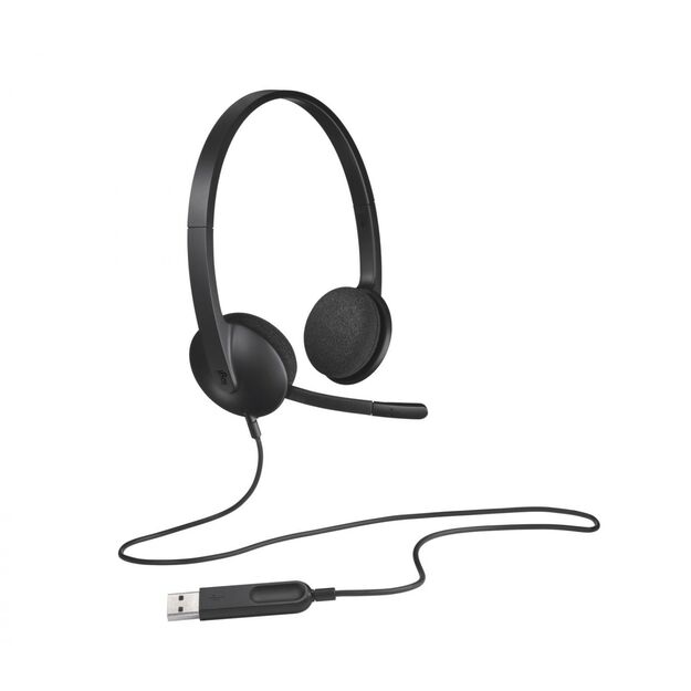 Ausinės HEADSET USB H340/981-000475 LOGITECH 32