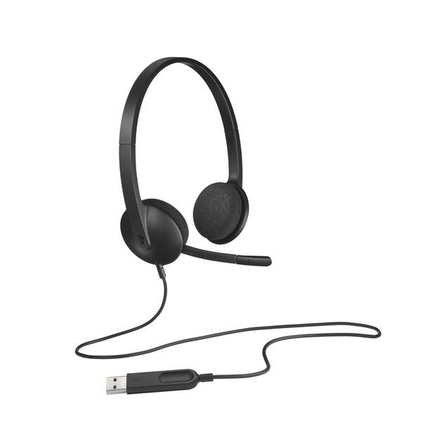 Ausinės HEADSET USB H340/981-000475 LOGITECH 28