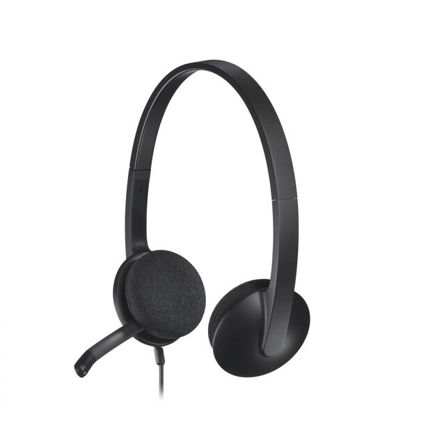 Ausinės HEADSET USB H340/981-000475 LOGITECH 33