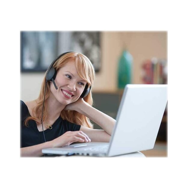 Ausinės HEADSET USB H340/981-000475 LOGITECH 17