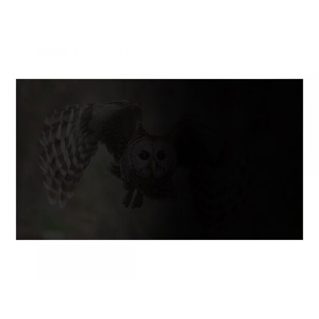 Privatumo filtras NATEC NFP-1475 Natec Privacy Filter RODO OWL 15,6, 16:9