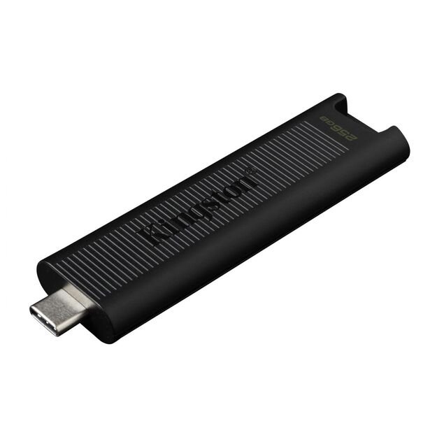 USB raktas MEMORY DRIVE FLASH USB3.2/256GB DTMAX/256GB KINGSTON 15