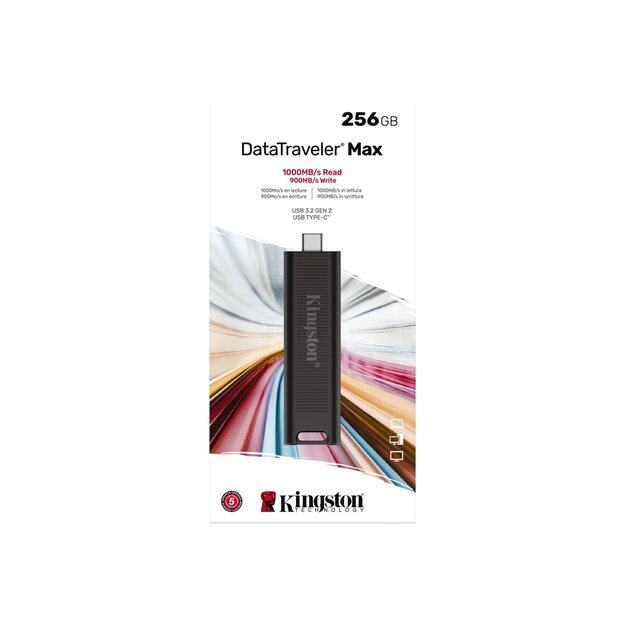 USB raktas MEMORY DRIVE FLASH USB3.2/256GB DTMAX/256GB KINGSTON