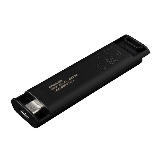 USB raktas MEMORY DRIVE FLASH USB3.2/256GB DTMAX/256GB KINGSTON 17